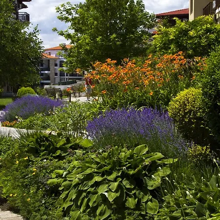 ガーデン オブ エデン コンプレックス