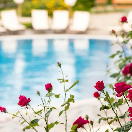 ガーデン オブ エデン コンプレックス 5* スヴェティ・ヴラス